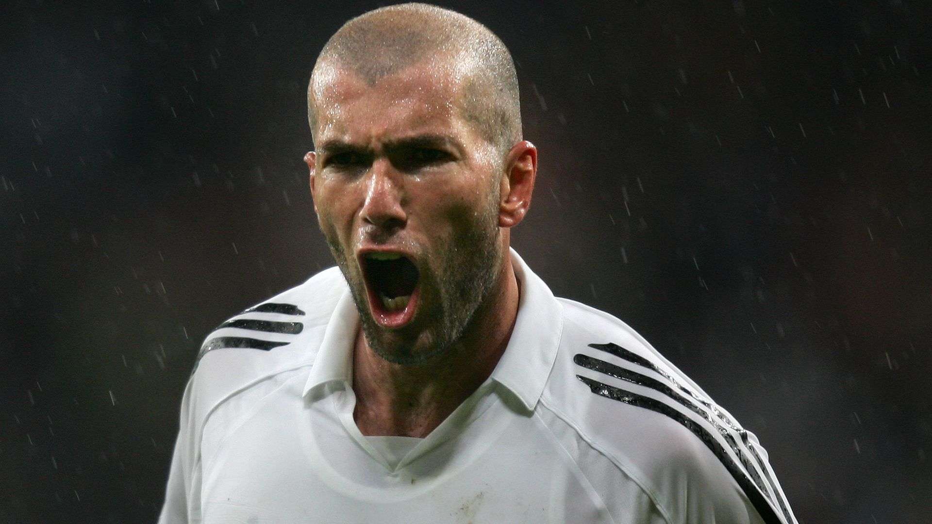 德这些年来 德这些年来